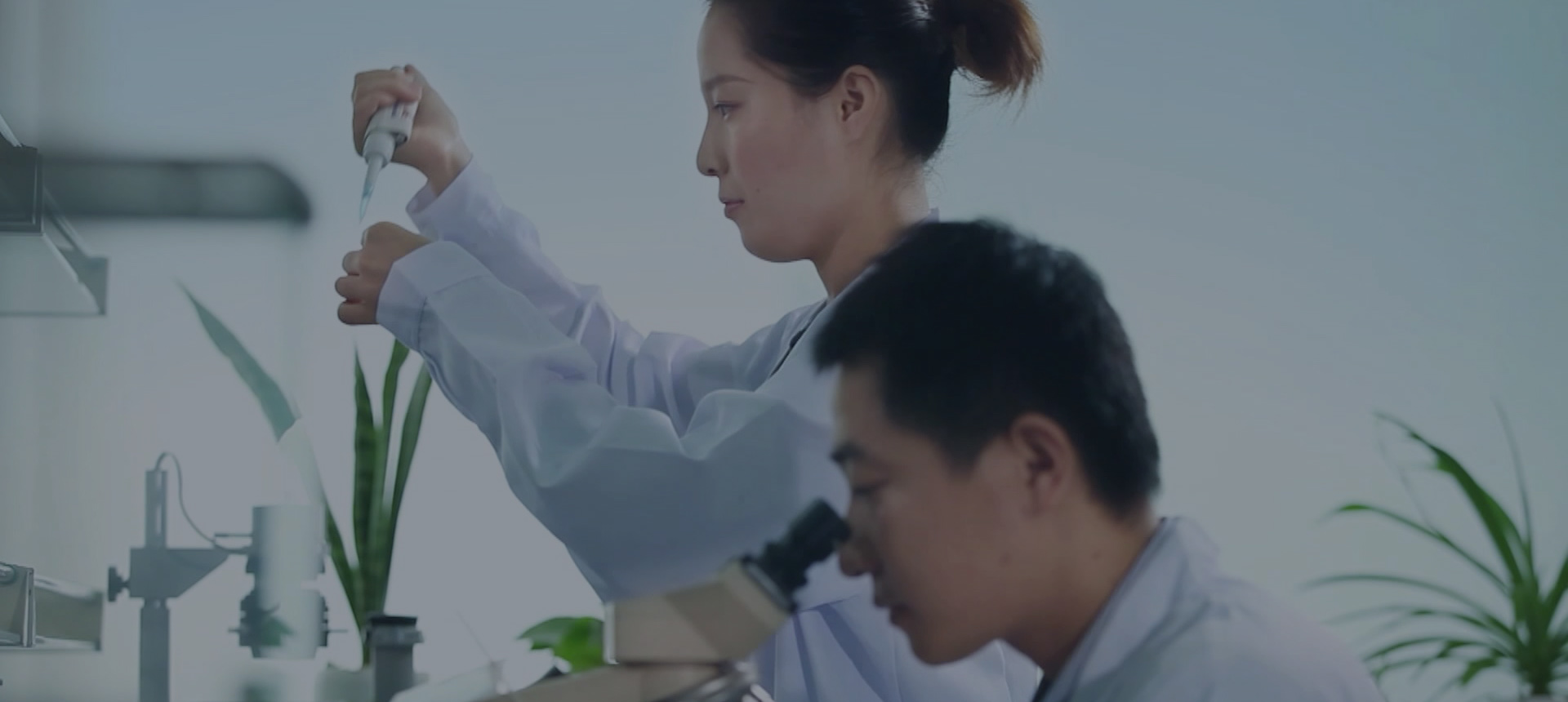 質(zhì)量?jī)?yōu)勢(shì)