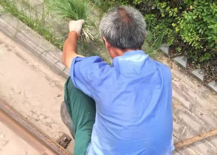 烈日下的擔(dān)當(dāng)、高溫下的堅持