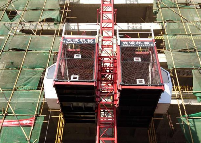 物競(jìng)天擇，適者生存