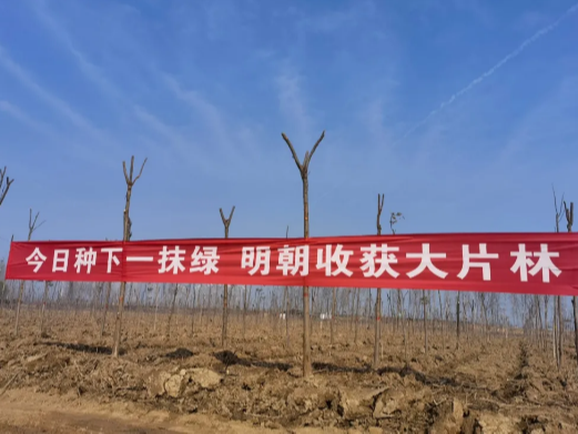 河南大誠(chéng)機(jī)械 河南大誠(chéng)機(jī)械