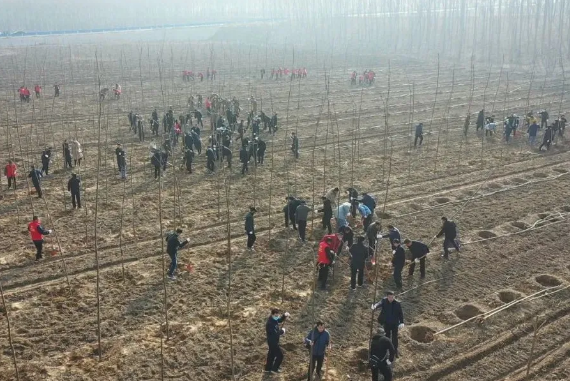 河南大誠(chéng)機(jī)械 河南大誠(chéng)機(jī)械